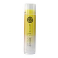 Natural Lemon Lip Balm in Clear Tube with Yellow Tint